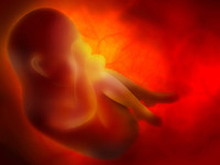 Zdroj: Isifa/Thinkstock